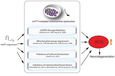 A Mitochondria-Associated Oxidative Stress Perspective on Huntington’s Disease